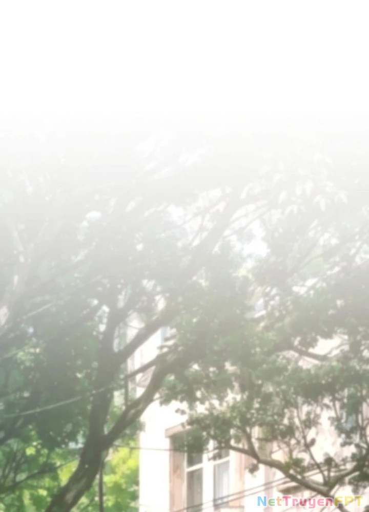 Ta Có Thể Thấy Tỉ Lệ Thành Công Chapter 328 - Trang 2