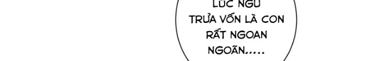 Ta Có Thể Thấy Tỉ Lệ Thành Công Chapter 328 - Trang 2