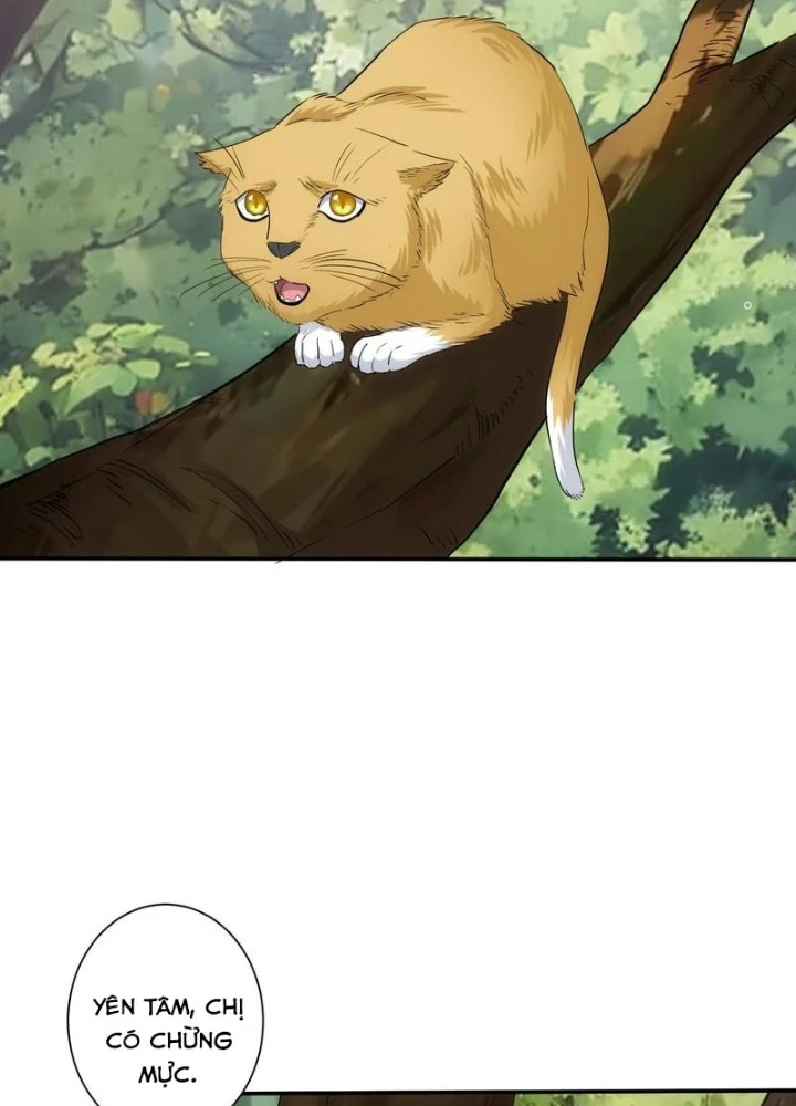Ta Có Thể Thấy Tỉ Lệ Thành Công Chapter 328 - Trang 2