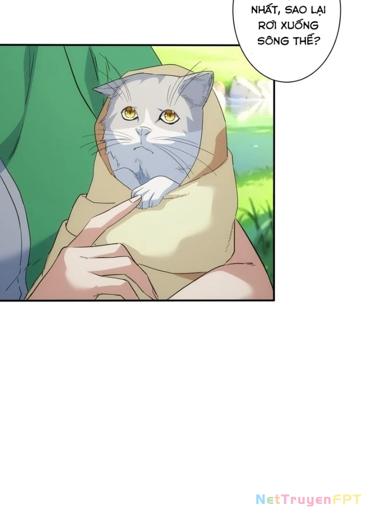 Ta Có Thể Thấy Tỉ Lệ Thành Công Chapter 330 - Trang 2
