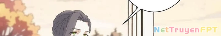 Ta Có Thể Thấy Tỉ Lệ Thành Công Chapter 336 - Trang 2