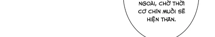 Ta Có Thể Thấy Tỉ Lệ Thành Công Chapter 344 - Trang 2