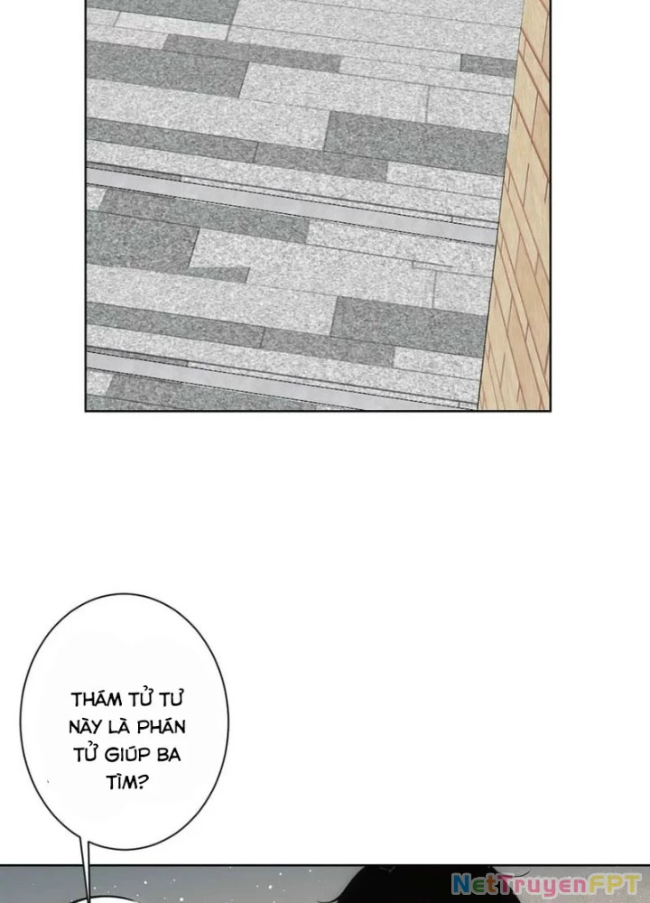 Ta Có Thể Thấy Tỉ Lệ Thành Công Chapter 345 - Trang 2