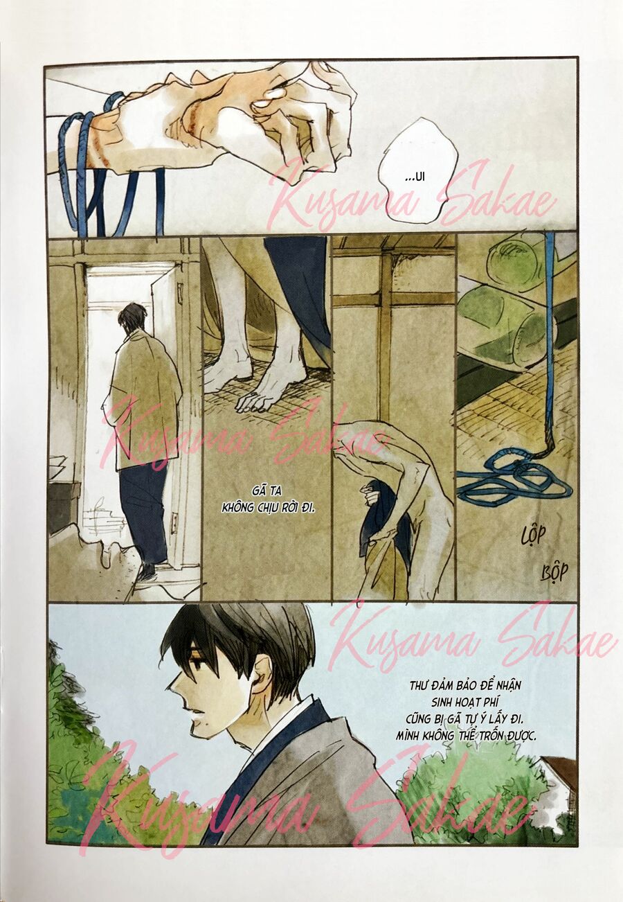 Lá Thư Đi Lạc Chapter 21 - Trang 2