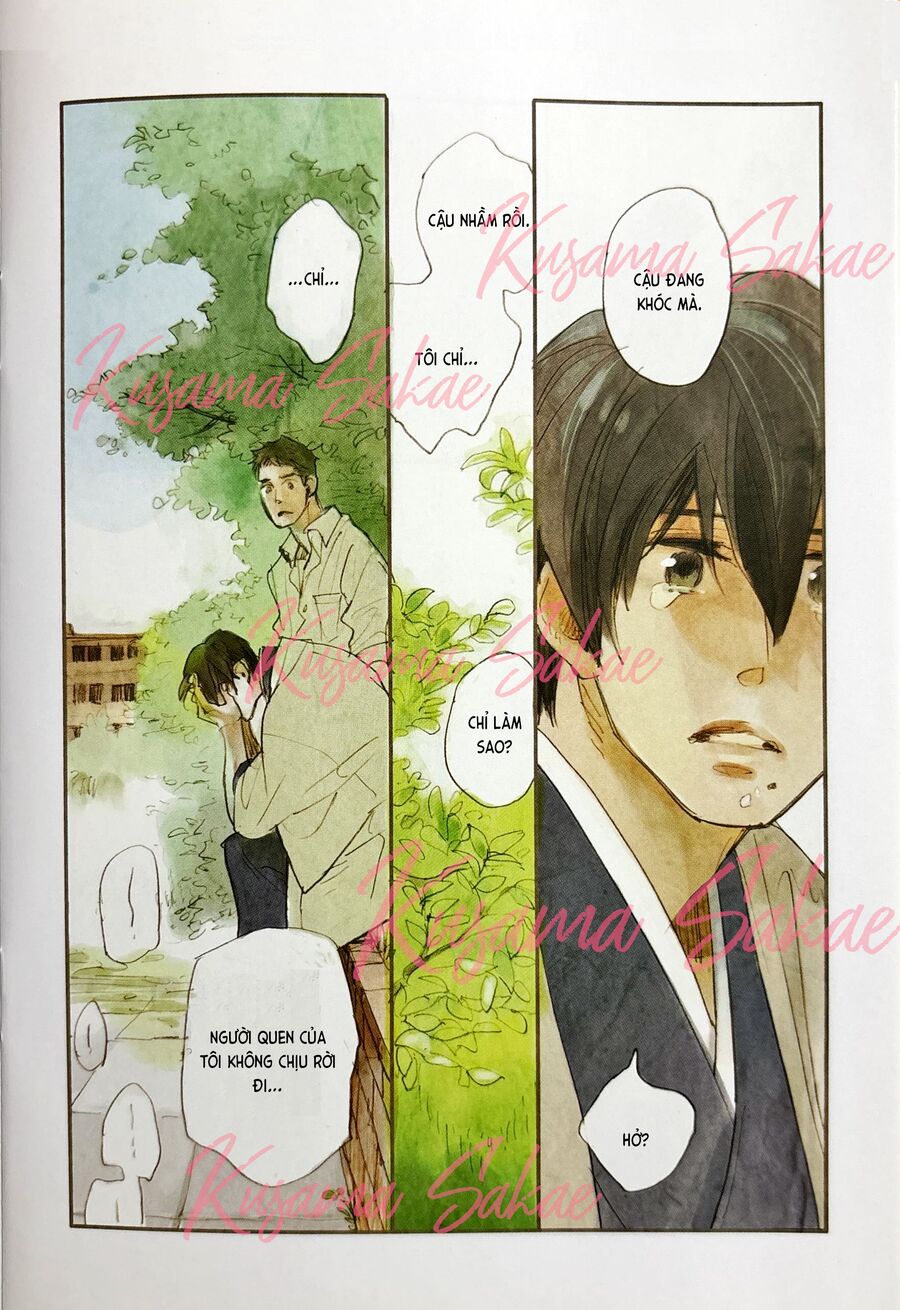 Lá Thư Đi Lạc Chapter 21 - Trang 2