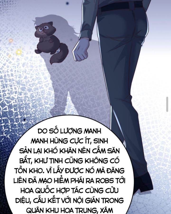 Học Cùng Em Gái, Không Cẩn Thận Trở Thành Vô Địch Chapter 95 - Trang 2