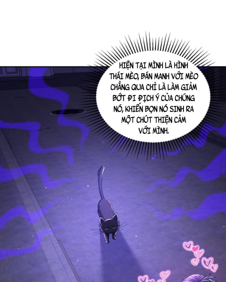 Học Cùng Em Gái, Không Cẩn Thận Trở Thành Vô Địch Chapter 98 - Trang 2