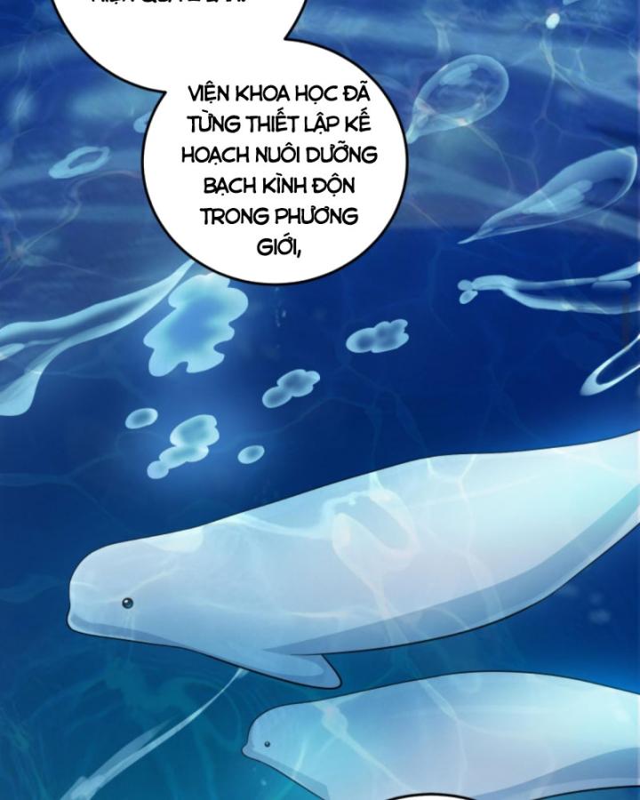Học Cùng Em Gái, Không Cẩn Thận Trở Thành Vô Địch Chapter 104 - Trang 2