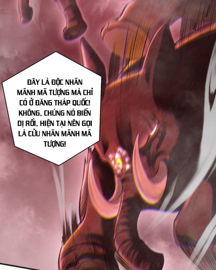 Học Cùng Em Gái, Không Cẩn Thận Trở Thành Vô Địch Chapter 111 - Trang 2