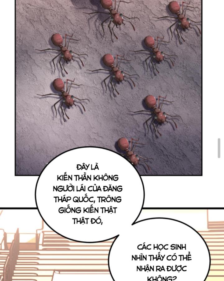 Học Cùng Em Gái, Không Cẩn Thận Trở Thành Vô Địch Chapter 120 - Trang 2