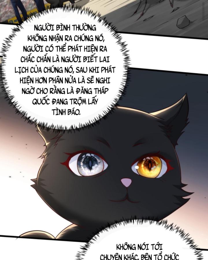 Học Cùng Em Gái, Không Cẩn Thận Trở Thành Vô Địch Chapter 123 - Trang 2
