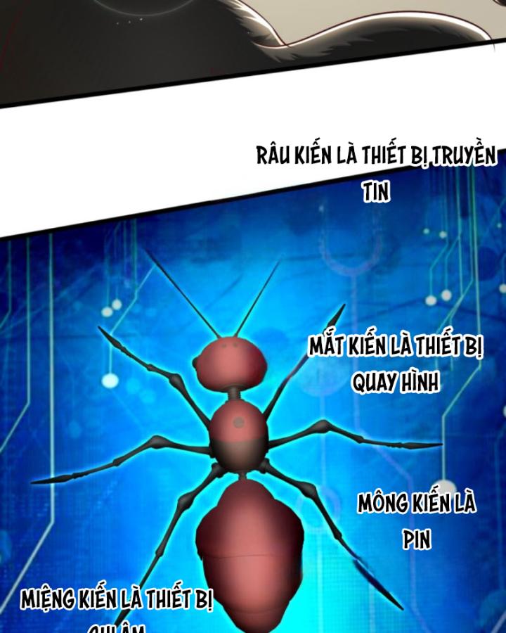 Học Cùng Em Gái, Không Cẩn Thận Trở Thành Vô Địch Chapter 124 - Trang 2