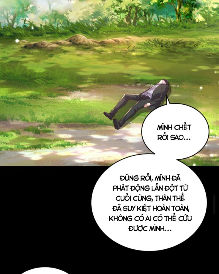 Học Cùng Em Gái, Không Cẩn Thận Trở Thành Vô Địch Chapter 131 - Trang 2