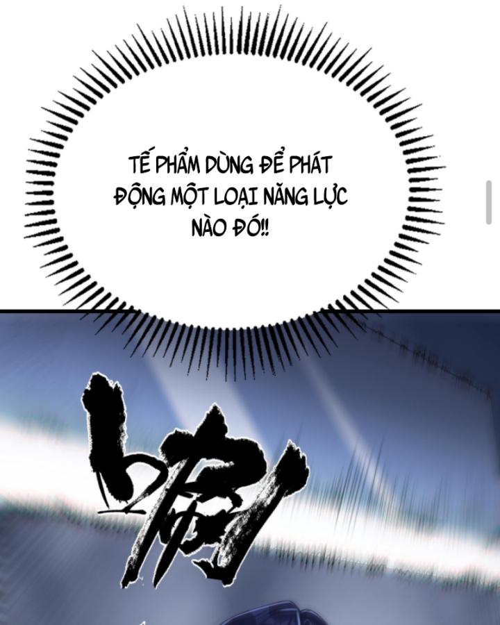 Học Cùng Em Gái, Không Cẩn Thận Trở Thành Vô Địch Chapter 143 - Trang 2
