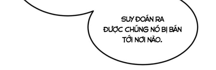 Học Cùng Em Gái, Không Cẩn Thận Trở Thành Vô Địch Chapter 144 - Trang 2