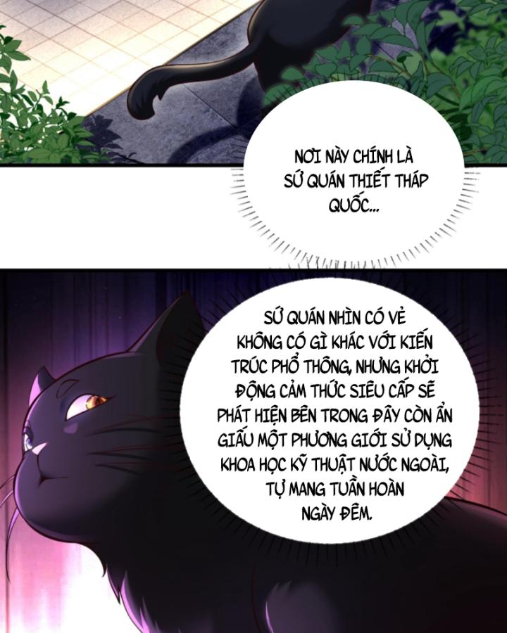 Học Cùng Em Gái, Không Cẩn Thận Trở Thành Vô Địch Chapter 145 - Trang 2
