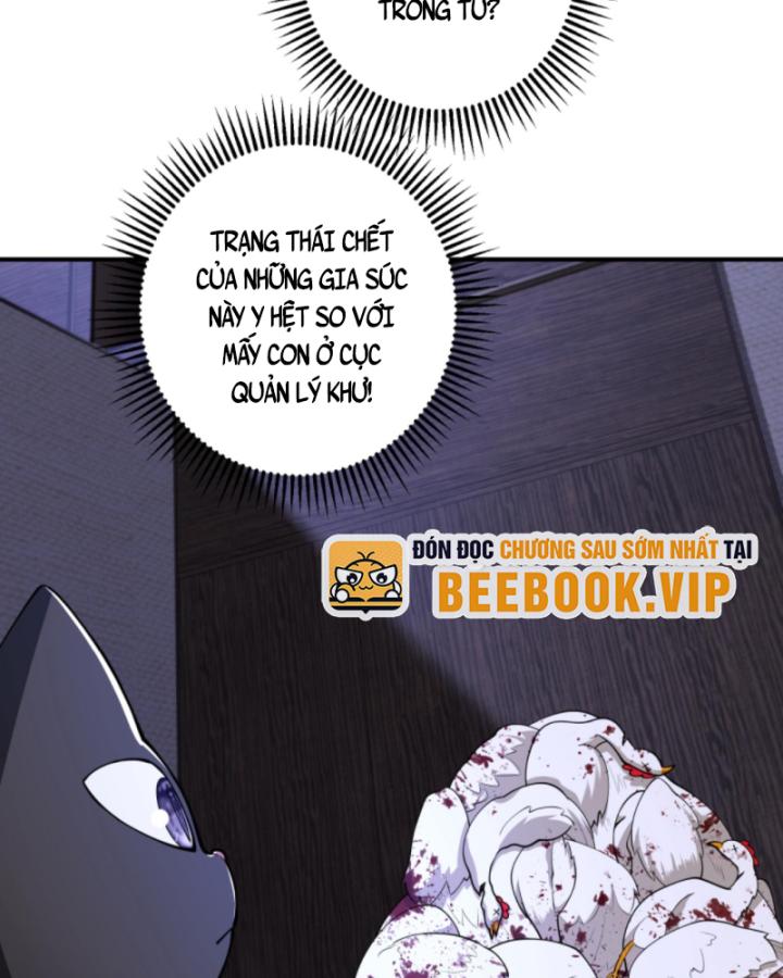 Học Cùng Em Gái, Không Cẩn Thận Trở Thành Vô Địch Chapter 146 - Trang 2