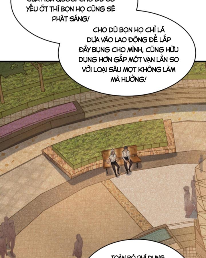 Học Cùng Em Gái, Không Cẩn Thận Trở Thành Vô Địch Chapter 149 - Trang 2