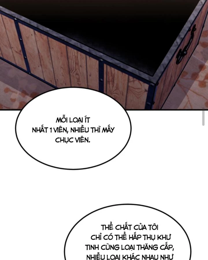 Học Cùng Em Gái, Không Cẩn Thận Trở Thành Vô Địch Chapter 195 - Trang 2