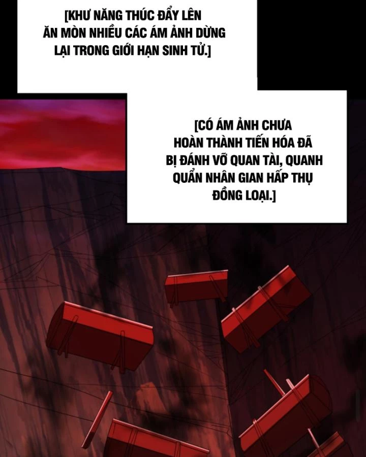 Học Cùng Em Gái, Không Cẩn Thận Trở Thành Vô Địch Chapter 198 - Trang 2