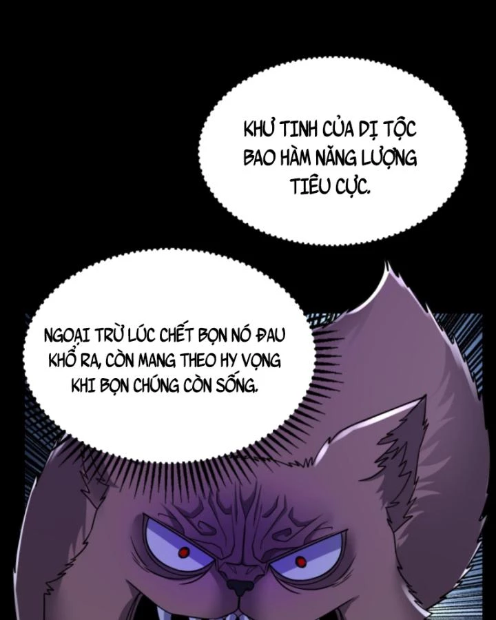 Học Cùng Em Gái, Không Cẩn Thận Trở Thành Vô Địch Chapter 199 - Trang 2