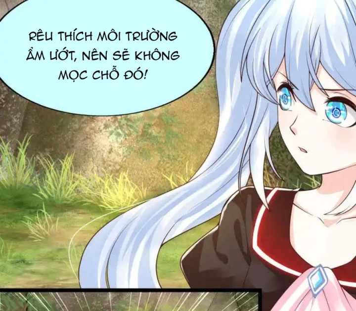 Nữ Thần Giúp Tôi Trở Thành Học Bá Chapter 30 - Trang 2