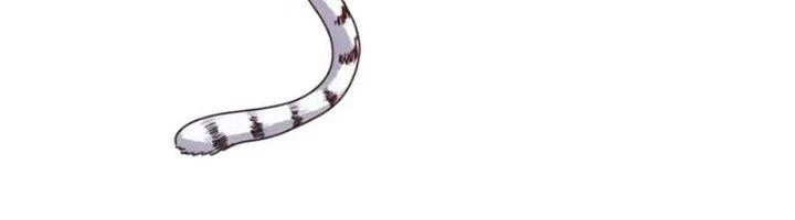 Ta Cày Level Từ Trong Gương Chapter 58 - Trang 2