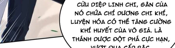 Ta Cày Level Từ Trong Gương Chapter 61 - Trang 2