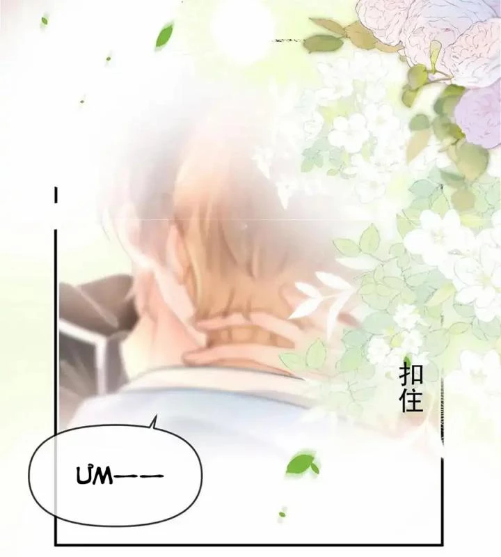 Giáo Thảo Bá Đạo Cầu Tôi Quay Lại Chapter 8 - Trang 2