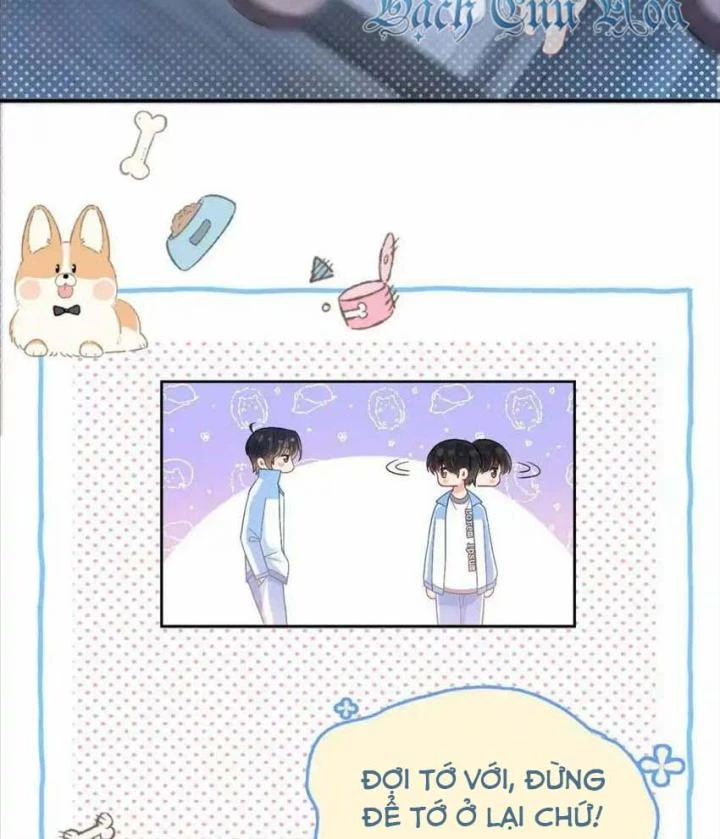 Giáo Thảo Bá Đạo Cầu Tôi Quay Lại Chapter 11 - Trang 2