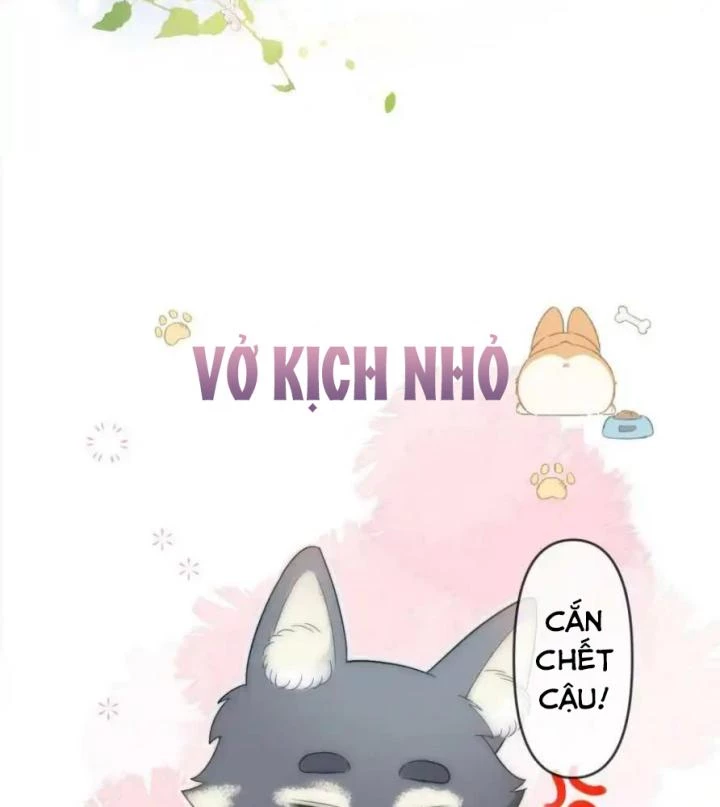 Giáo Thảo Bá Đạo Cầu Tôi Quay Lại Chapter 12 - Trang 2
