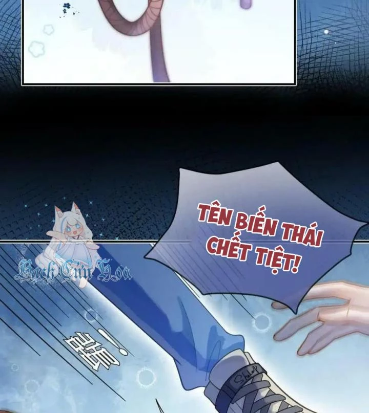 Giáo Thảo Bá Đạo Cầu Tôi Quay Lại Chapter 12 - Trang 2