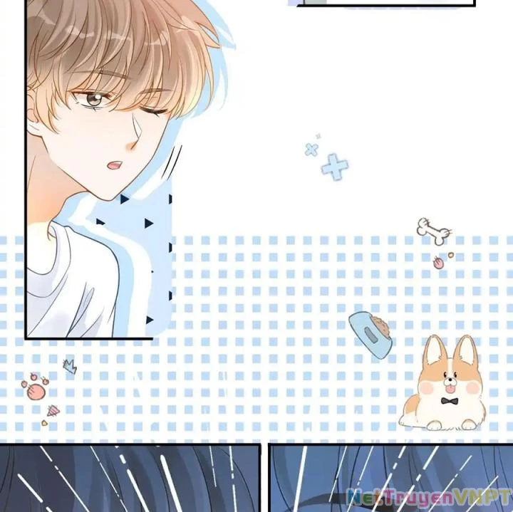 Giáo Thảo Bá Đạo Cầu Tôi Quay Lại Chapter 15 - Trang 2