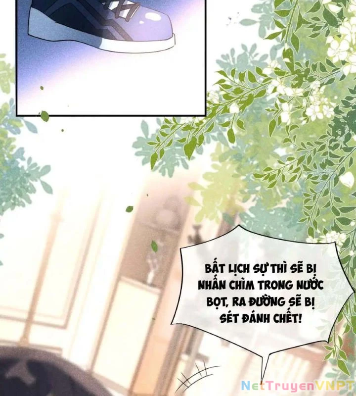 Giáo Thảo Bá Đạo Cầu Tôi Quay Lại Chapter 21 - Trang 2