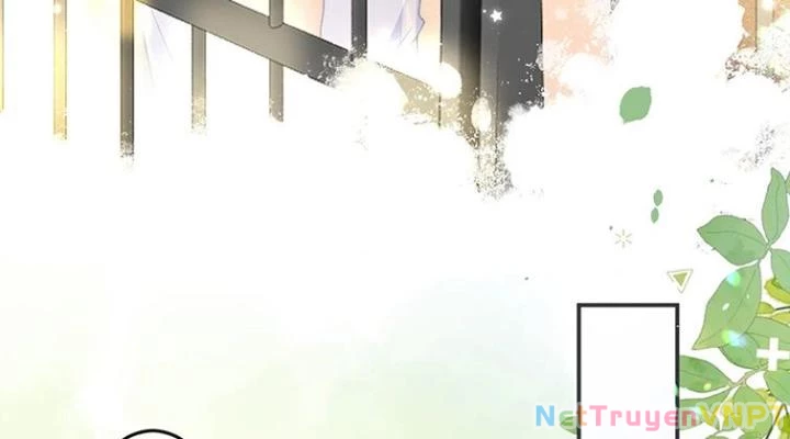 Giáo Thảo Bá Đạo Cầu Tôi Quay Lại Chapter 33 - Trang 2