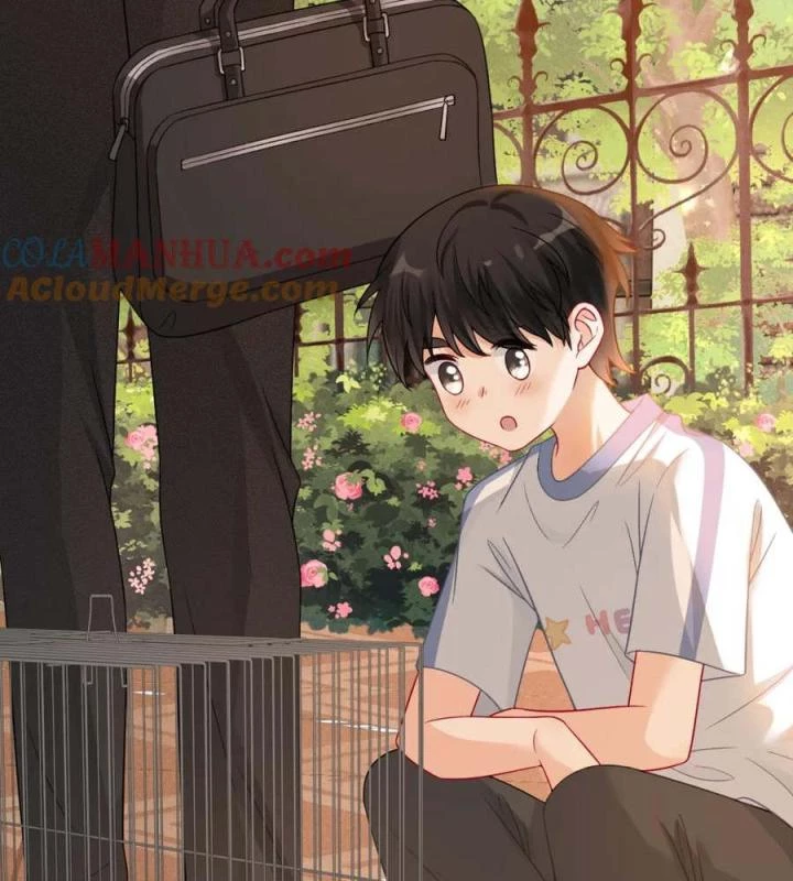 Giáo Thảo Bá Đạo Cầu Tôi Quay Lại Chapter 36 - Trang 2