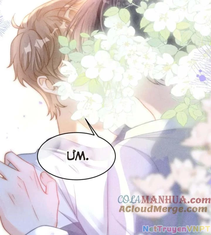 Giáo Thảo Bá Đạo Cầu Tôi Quay Lại Chapter 37 - Trang 2