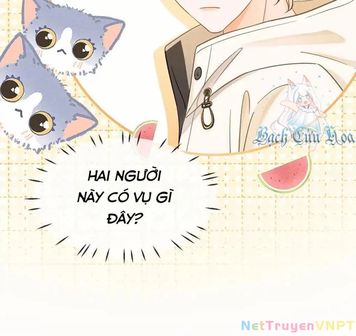 Giáo Thảo Bá Đạo Cầu Tôi Quay Lại Chapter 49 - Trang 2