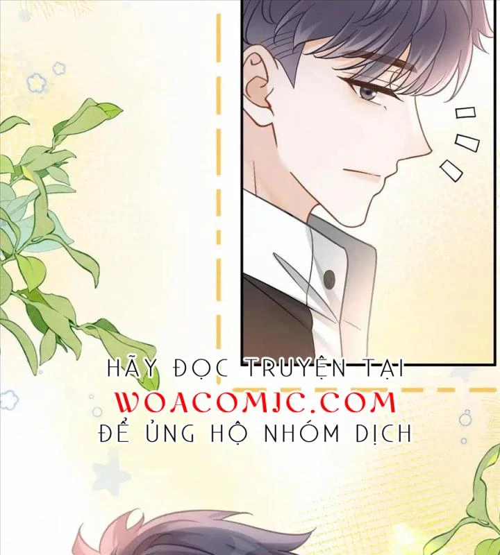Giáo Thảo Bá Đạo Cầu Tôi Quay Lại Chapter 50 - Trang 2
