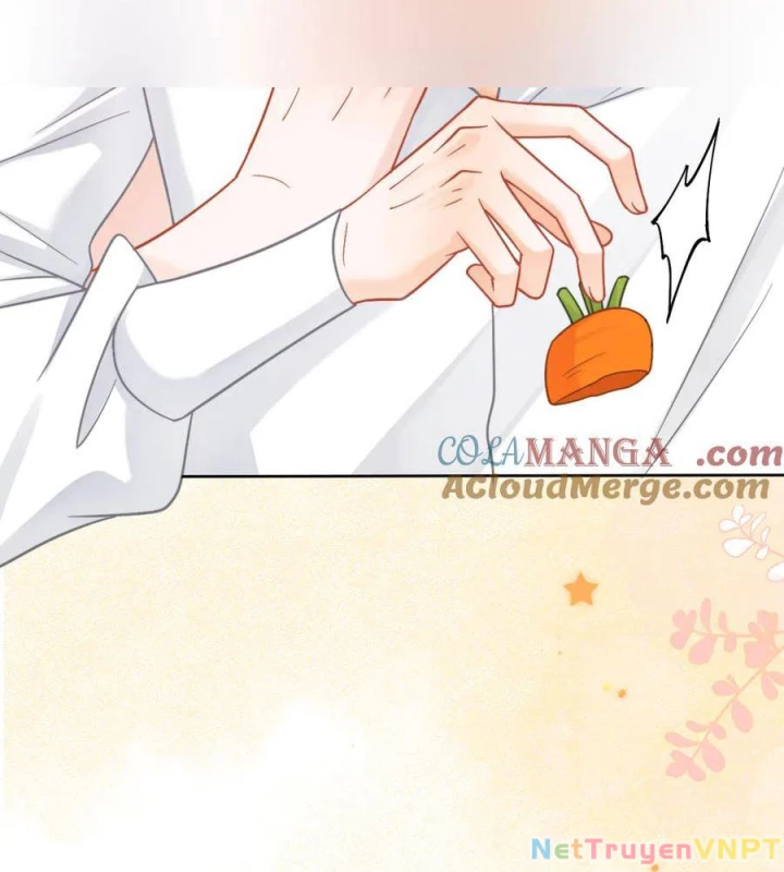 Giáo Thảo Bá Đạo Cầu Tôi Quay Lại Chapter 58.1 - Trang 2