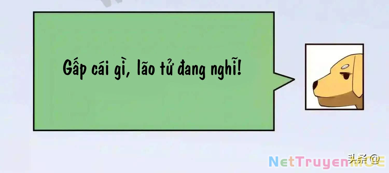 Mắt Phải Của Ta Là Thần Cấp Máy Tính Chapter 117 - Trang 2