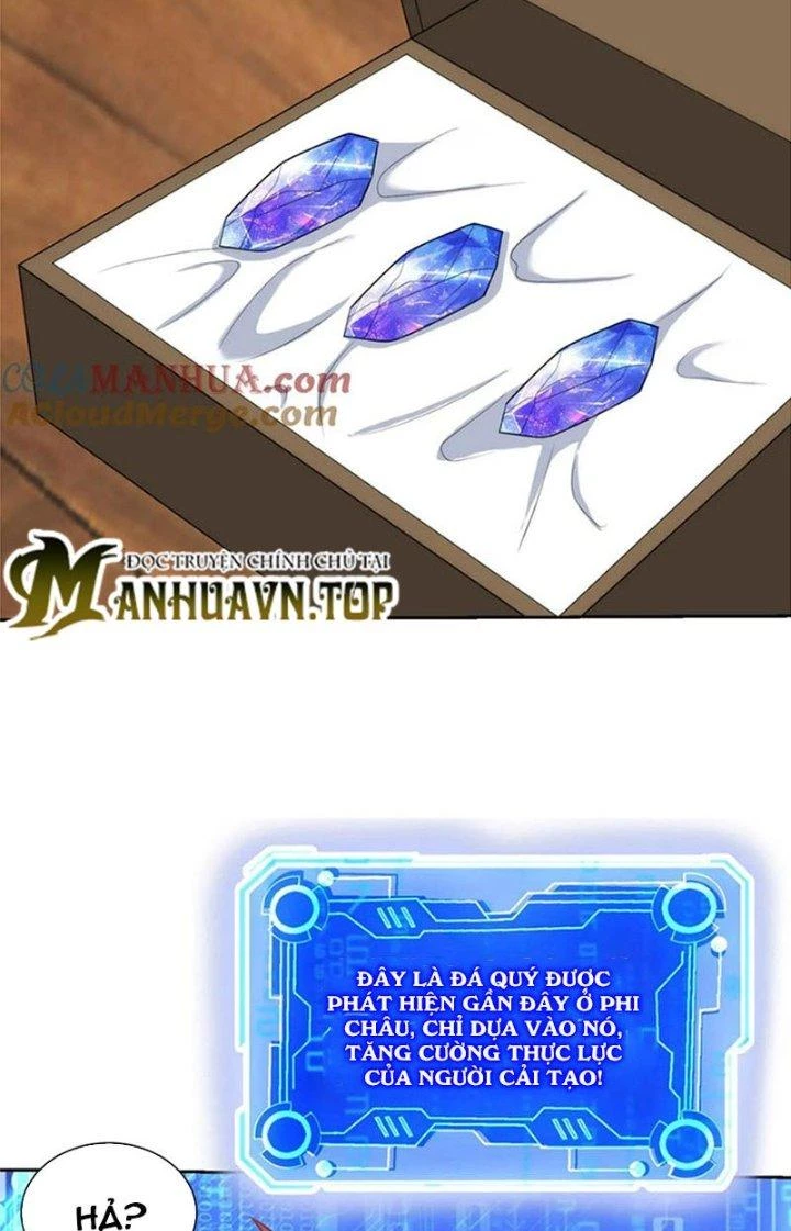 Mắt Phải Của Ta Là Thần Cấp Máy Tính Chapter 308 - Trang 2