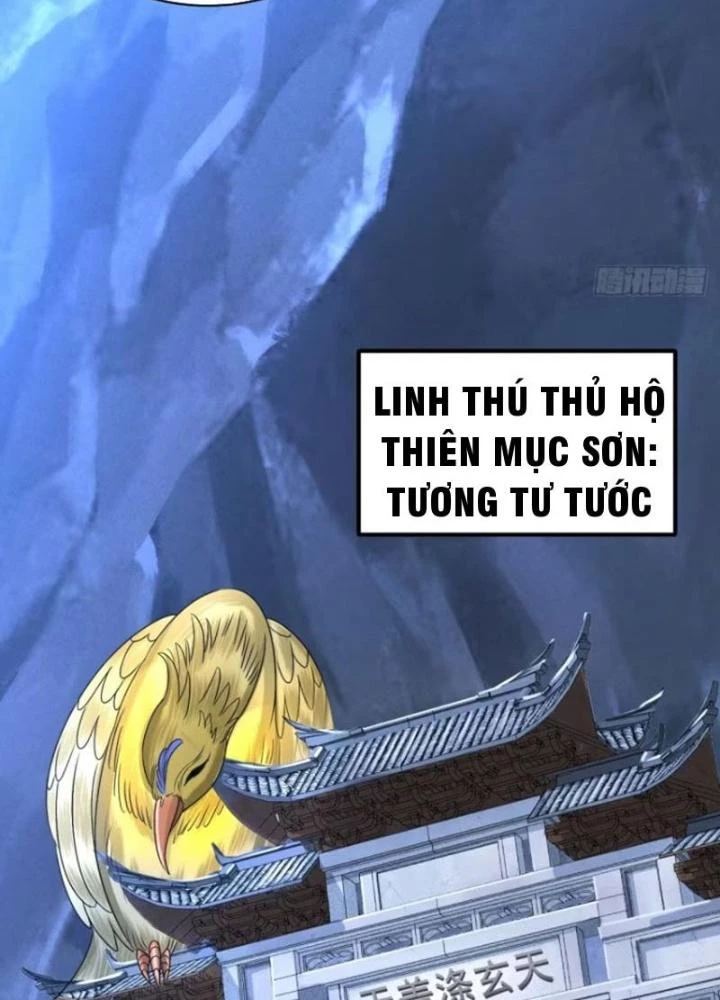 Đạo Hữu Xin Bớt Giận Chapter 24 - Trang 2