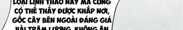 Đạo Hữu Xin Bớt Giận Chapter 24 - Trang 2