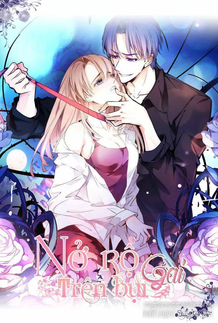 Nở Rộ Trên Bụi Gai Chapter 35 - Trang 2