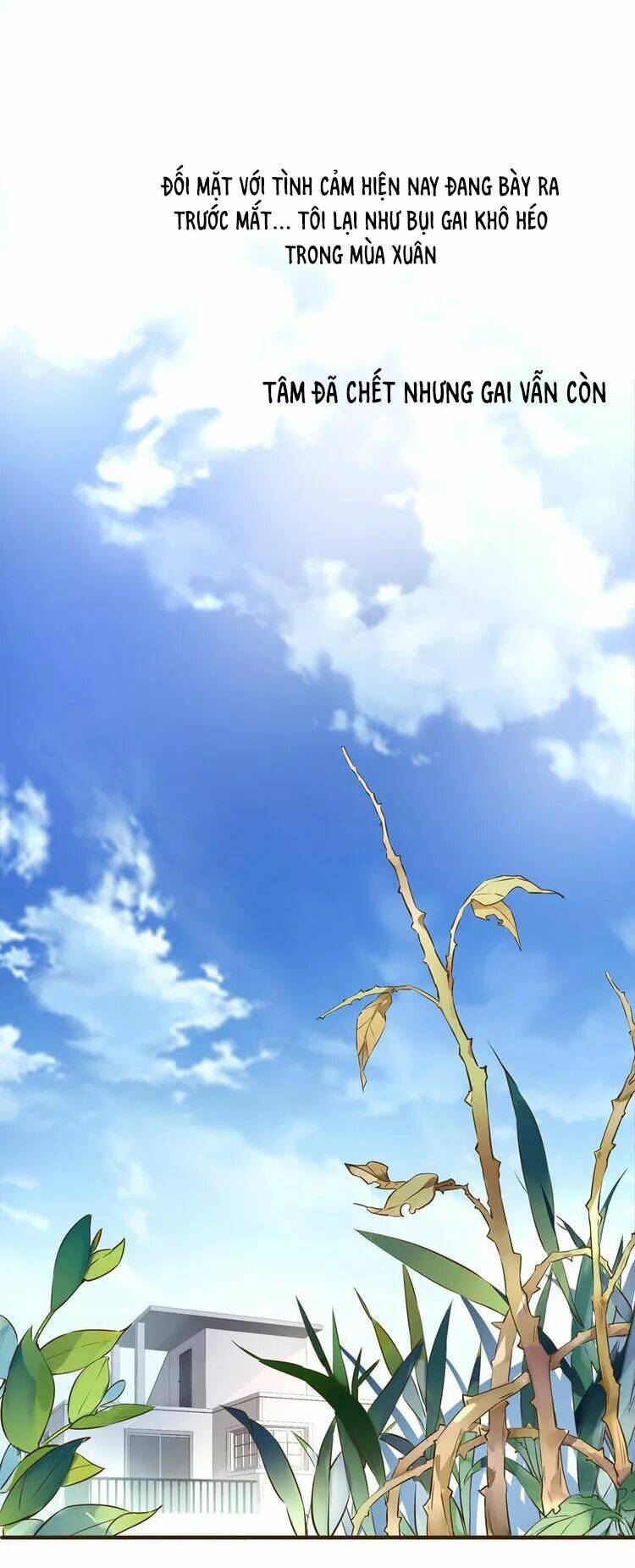 Nở Rộ Trên Bụi Gai Chapter 40 - Trang 2
