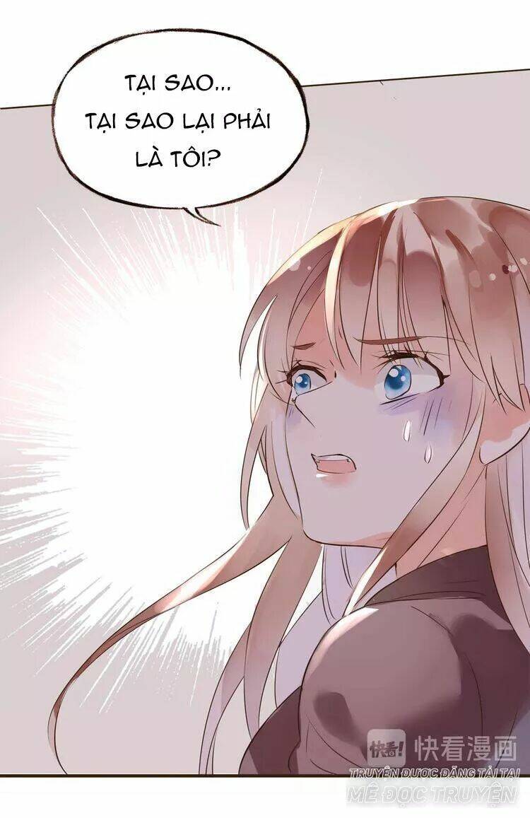 Nở Rộ Trên Bụi Gai Chapter 40 - Trang 2