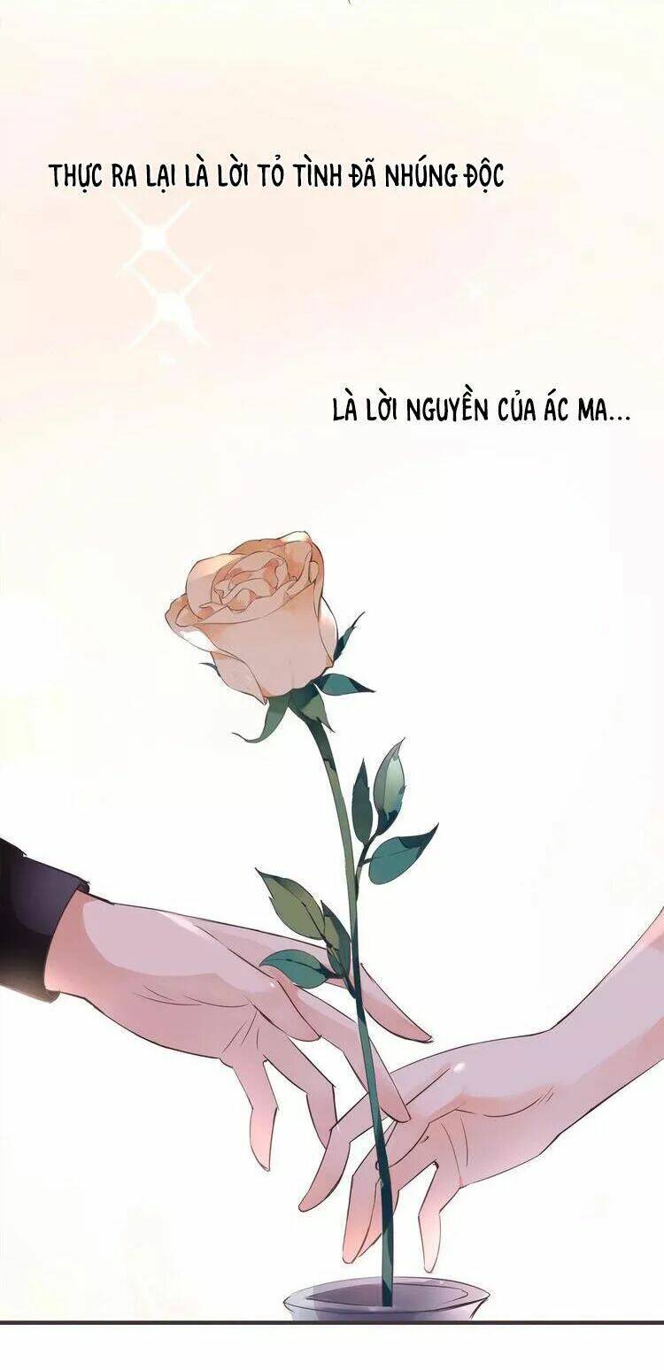 Nở Rộ Trên Bụi Gai Chapter 41 - Trang 2
