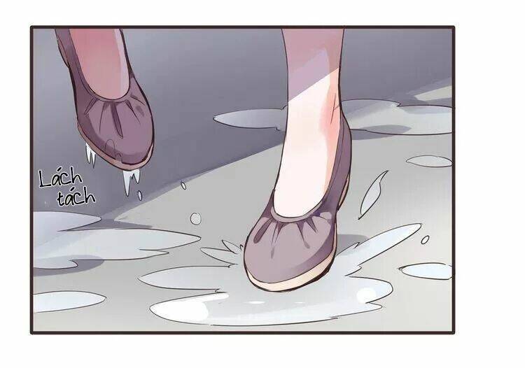 Nở Rộ Trên Bụi Gai Chapter 41 - Trang 2