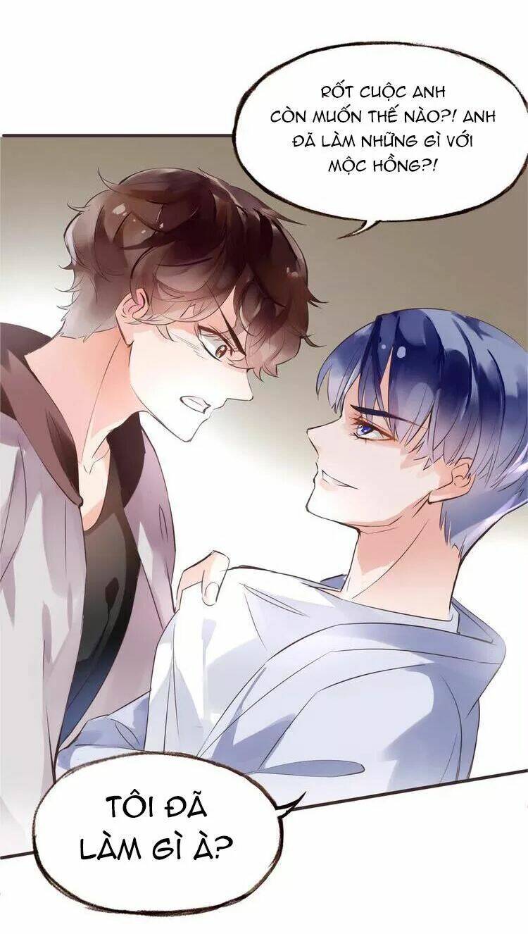 Nở Rộ Trên Bụi Gai Chapter 41 - Trang 2